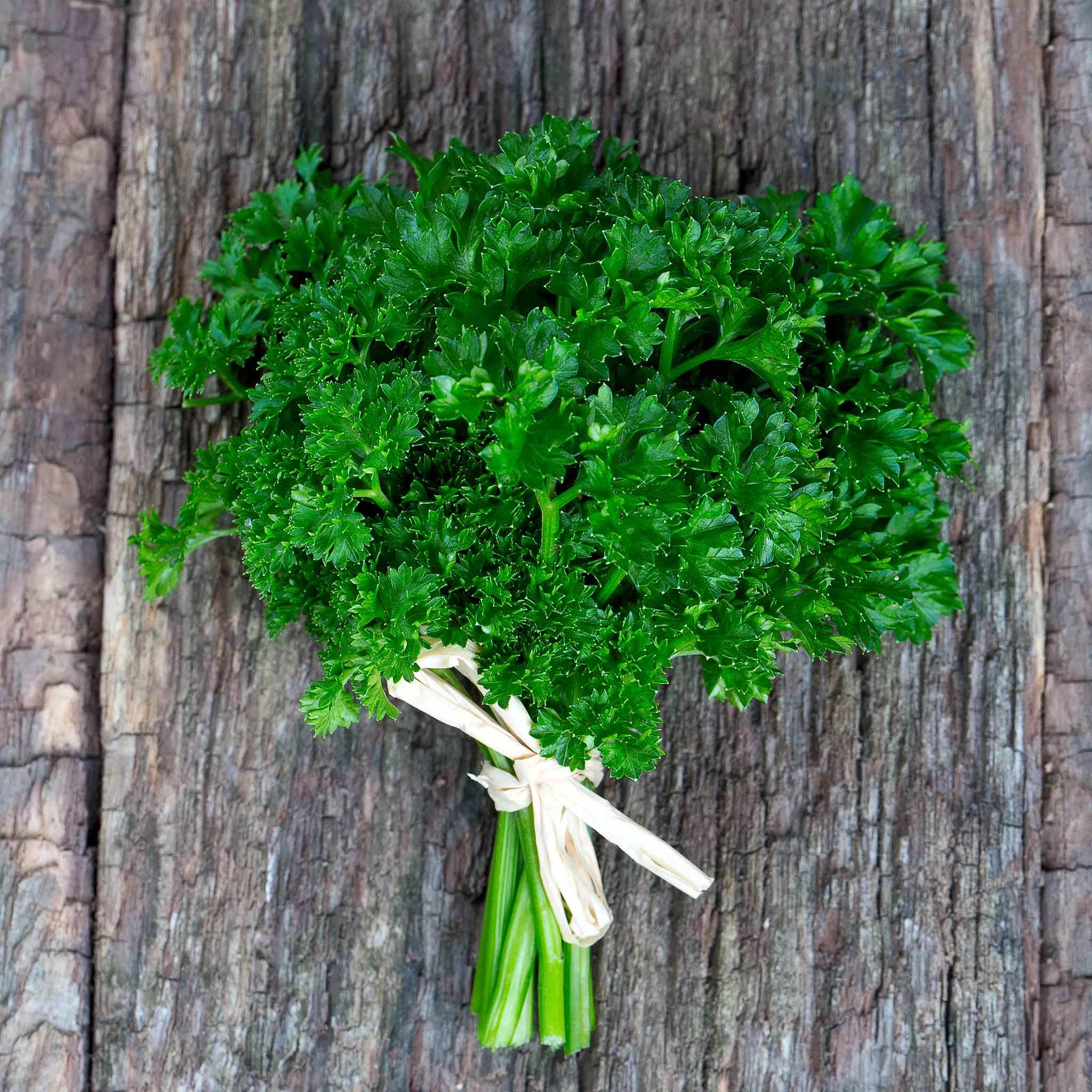 Parsley Seeds - Curled