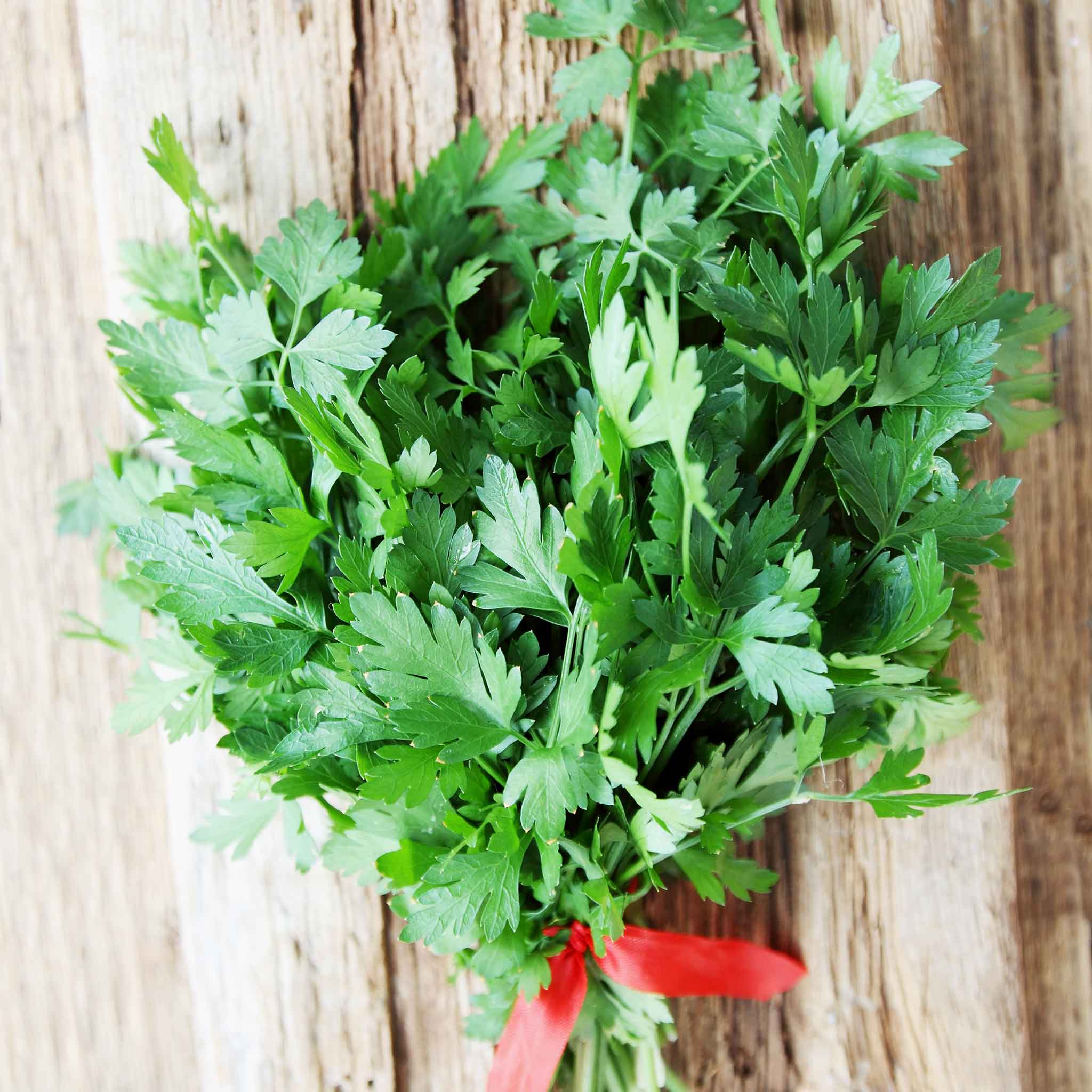 Parsley Seeds - Italian