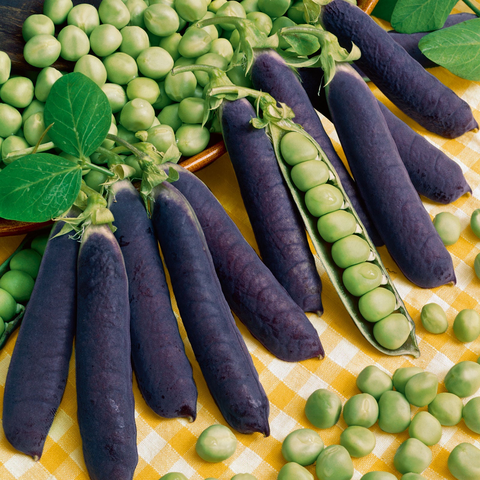 Organic Pea Seeds - Blue Shelling