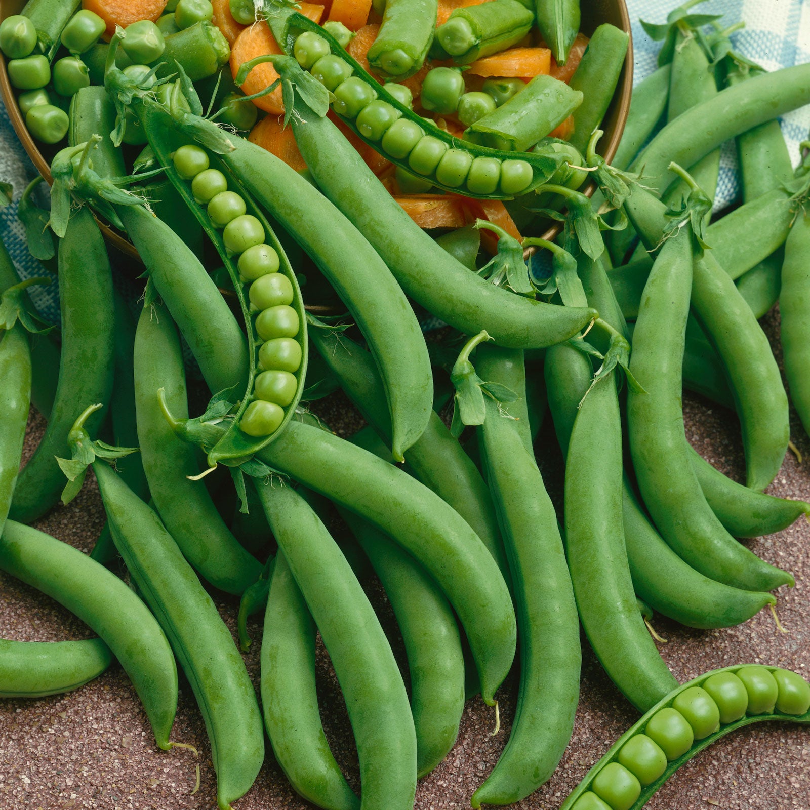 Organic Pea Seeds - Green Arrow