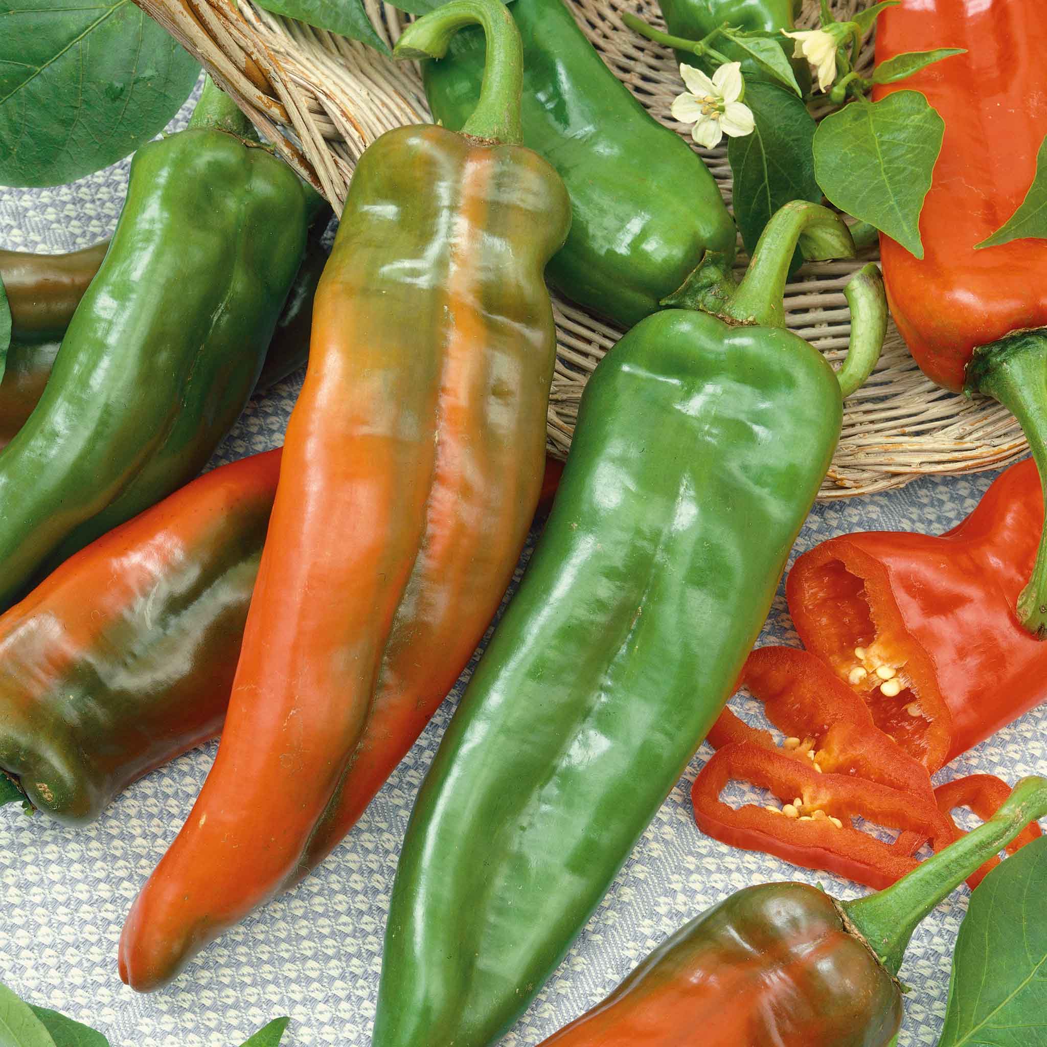 Hot Pepper Seeds - Anaheim Chili