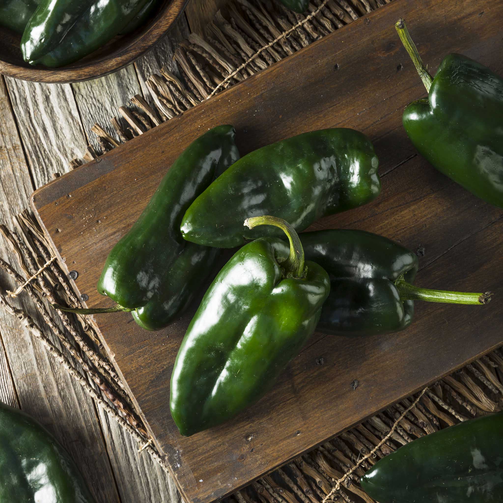 Hot Pepper Seeds - Ancho or Poblano