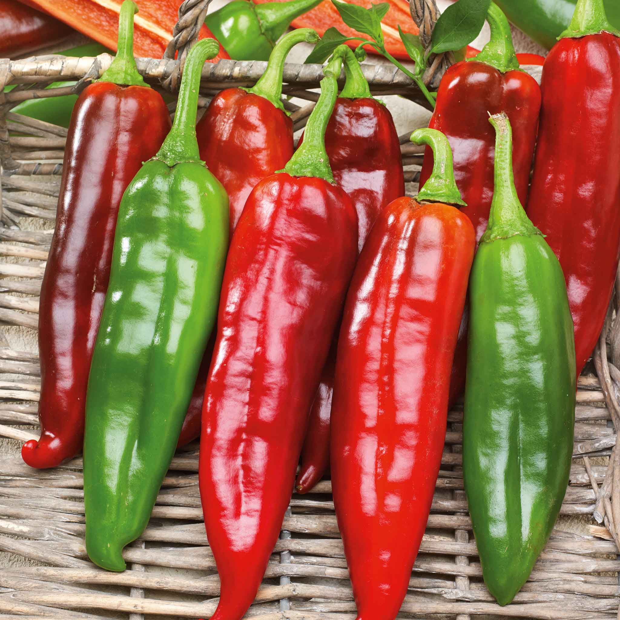 Hot Pepper Seeds - Big Jim