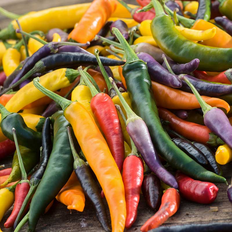 Hot Pepper Seeds - Cayenne Blend