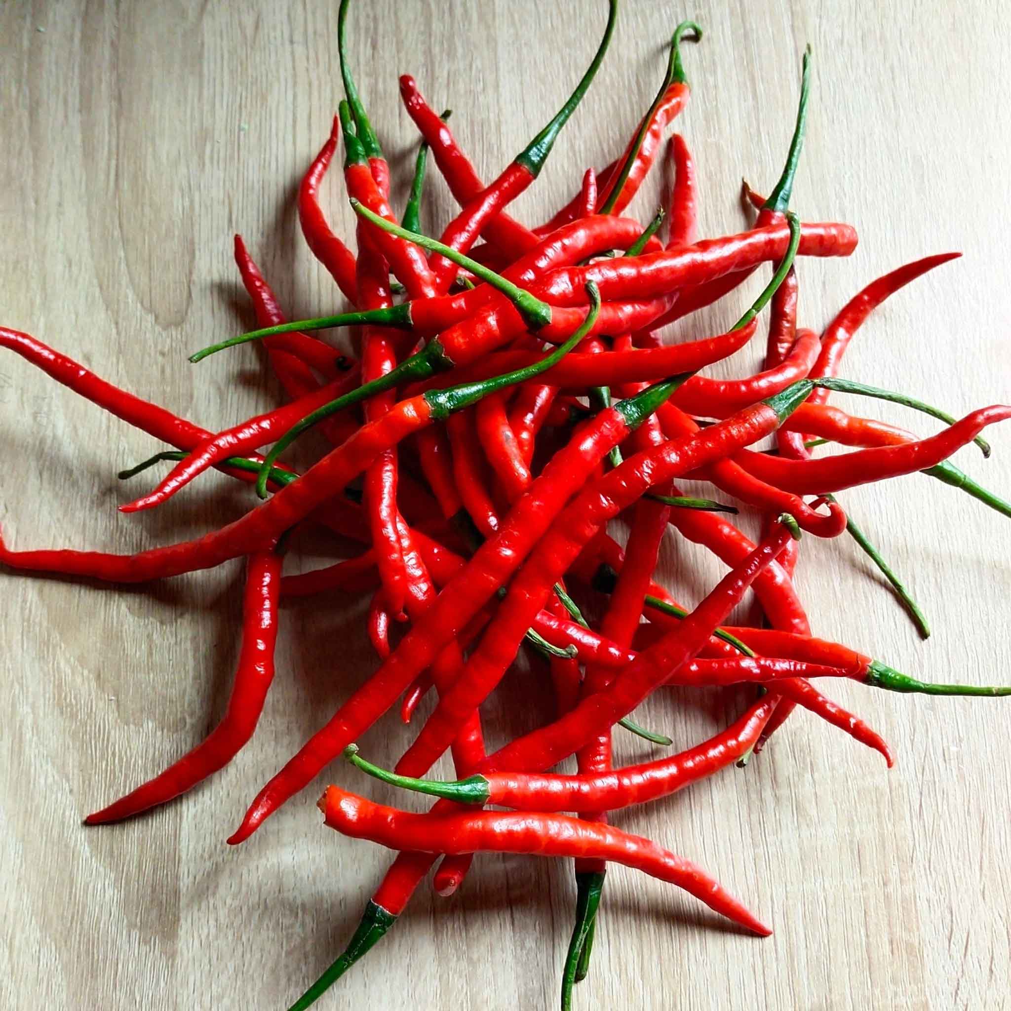 Hot Pepper Seeds - Cayenne Long Red Thin