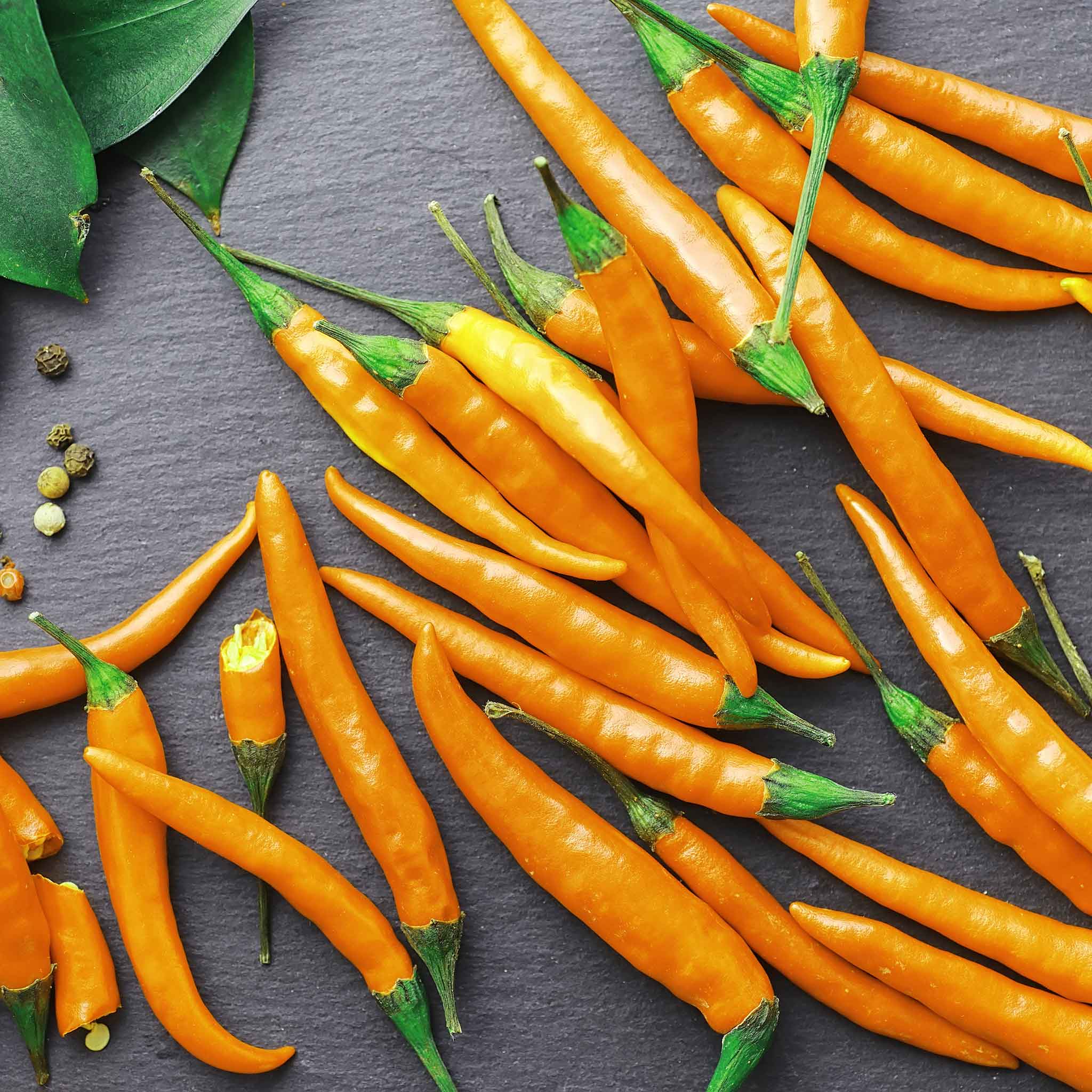 Hot Pepper Seeds - Cayenne Orange