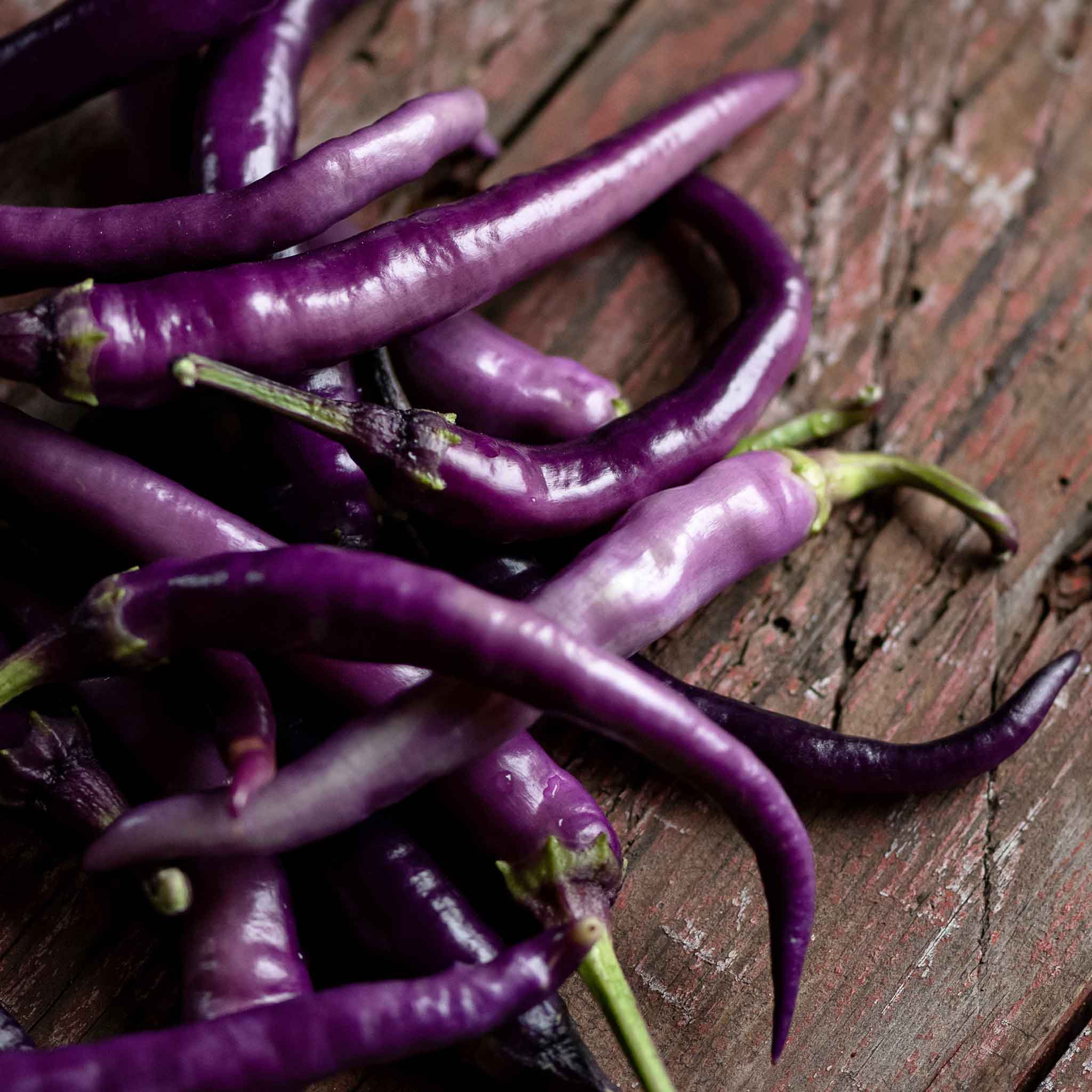 Hot Pepper Seeds - Cayenne Purple