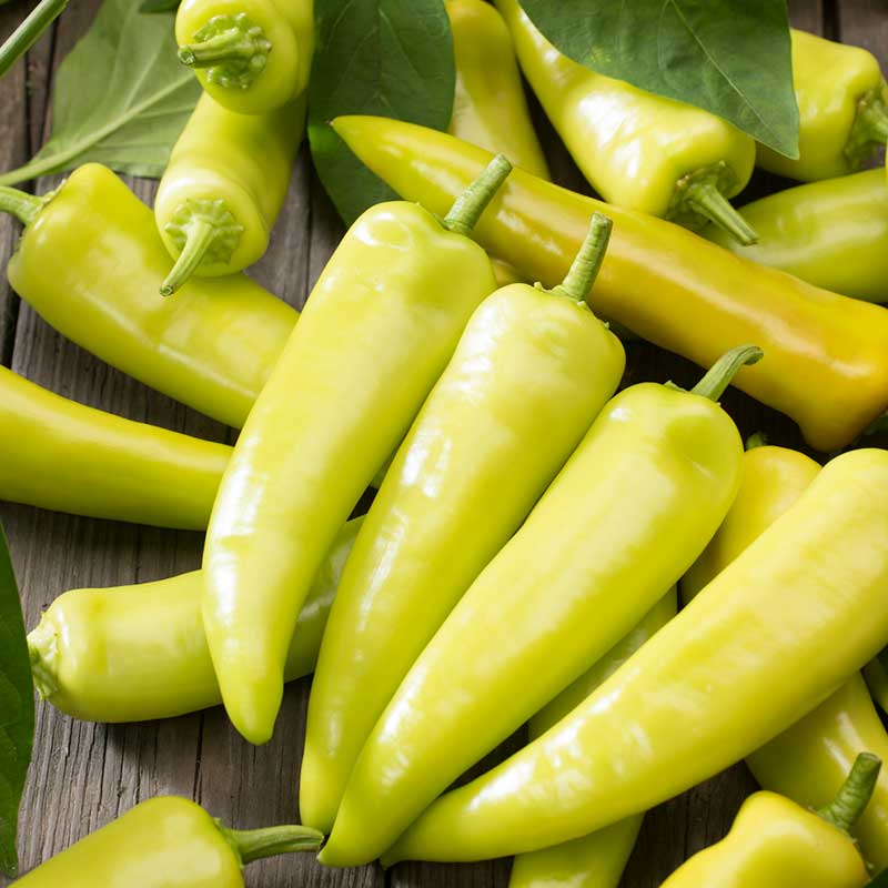 Hot Pepper Seeds - Hungarian Yellow Hot Wax