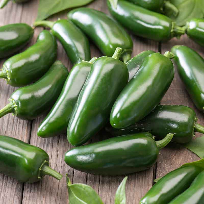 Hot Pepper Seeds - Jalapeno Early