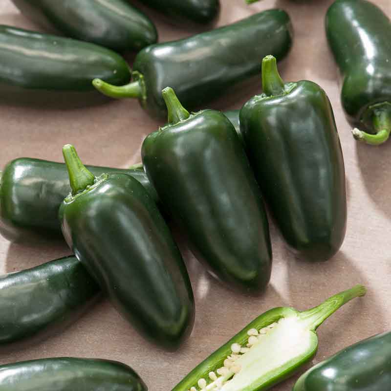 Hot Pepper Seeds - Jalapeno M