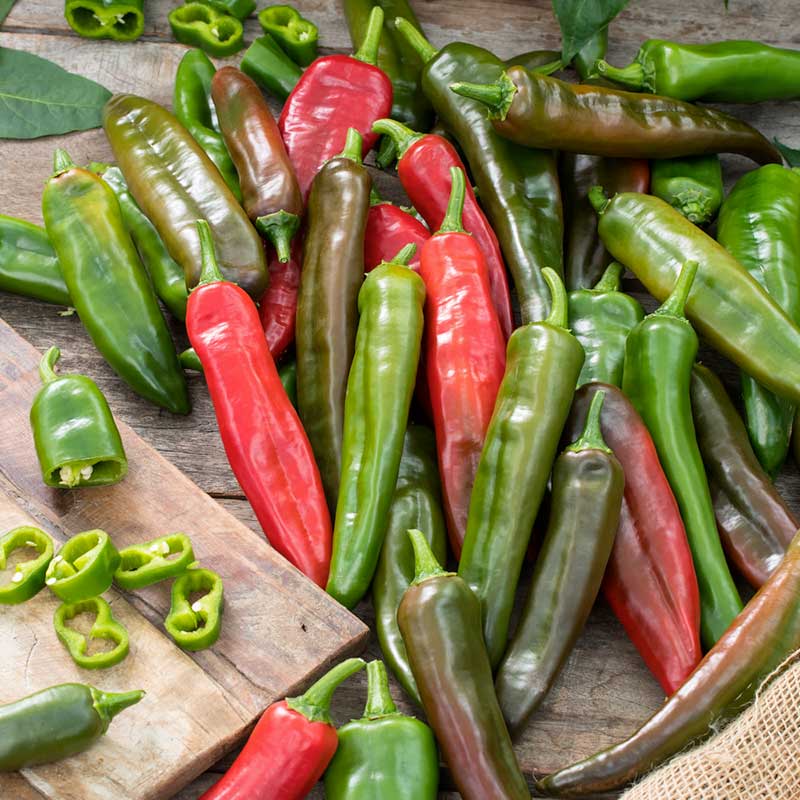 Organic Hot Pepper Seeds - Anaheim Chili