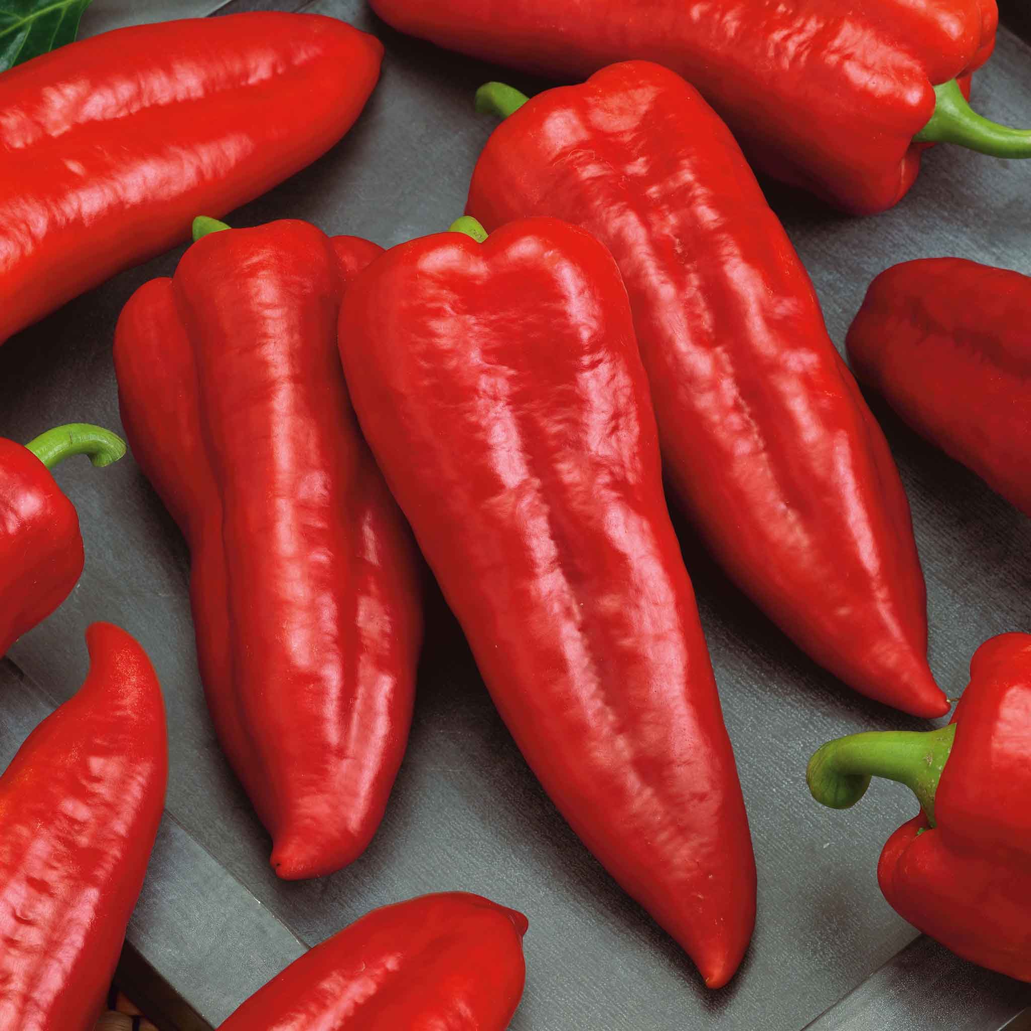 Organic Sweet Pepper Seeds - Marconi Red