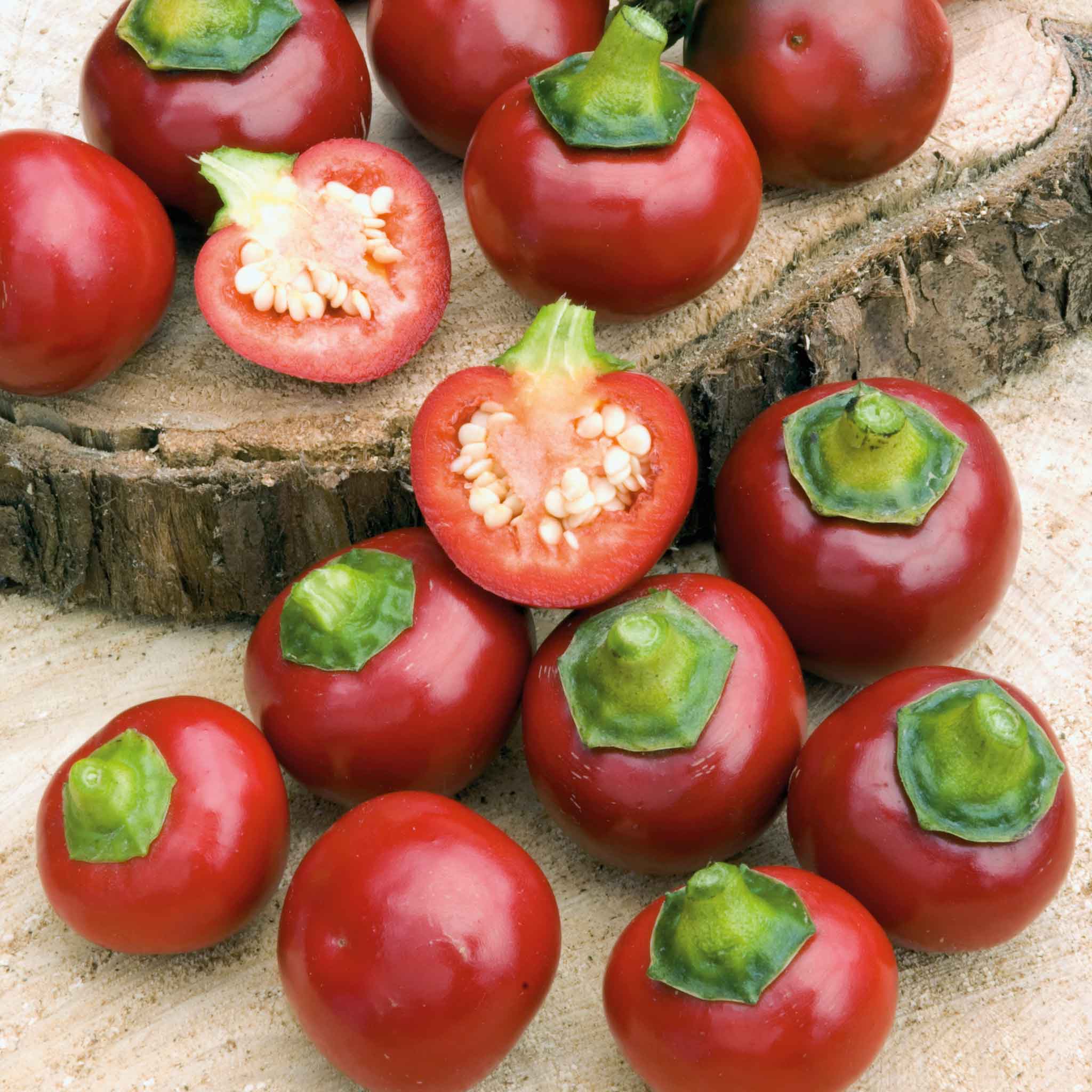 Sweet Pepper Seeds - Red Cherry Sweet