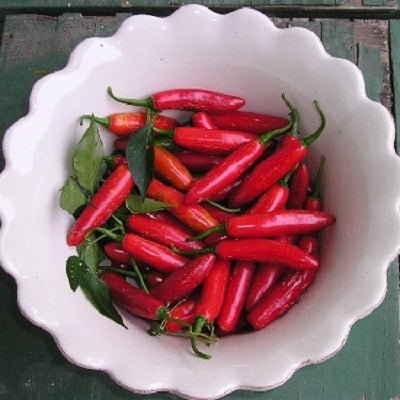 Hot Pepper Seeds - Serrano Tampiqueno