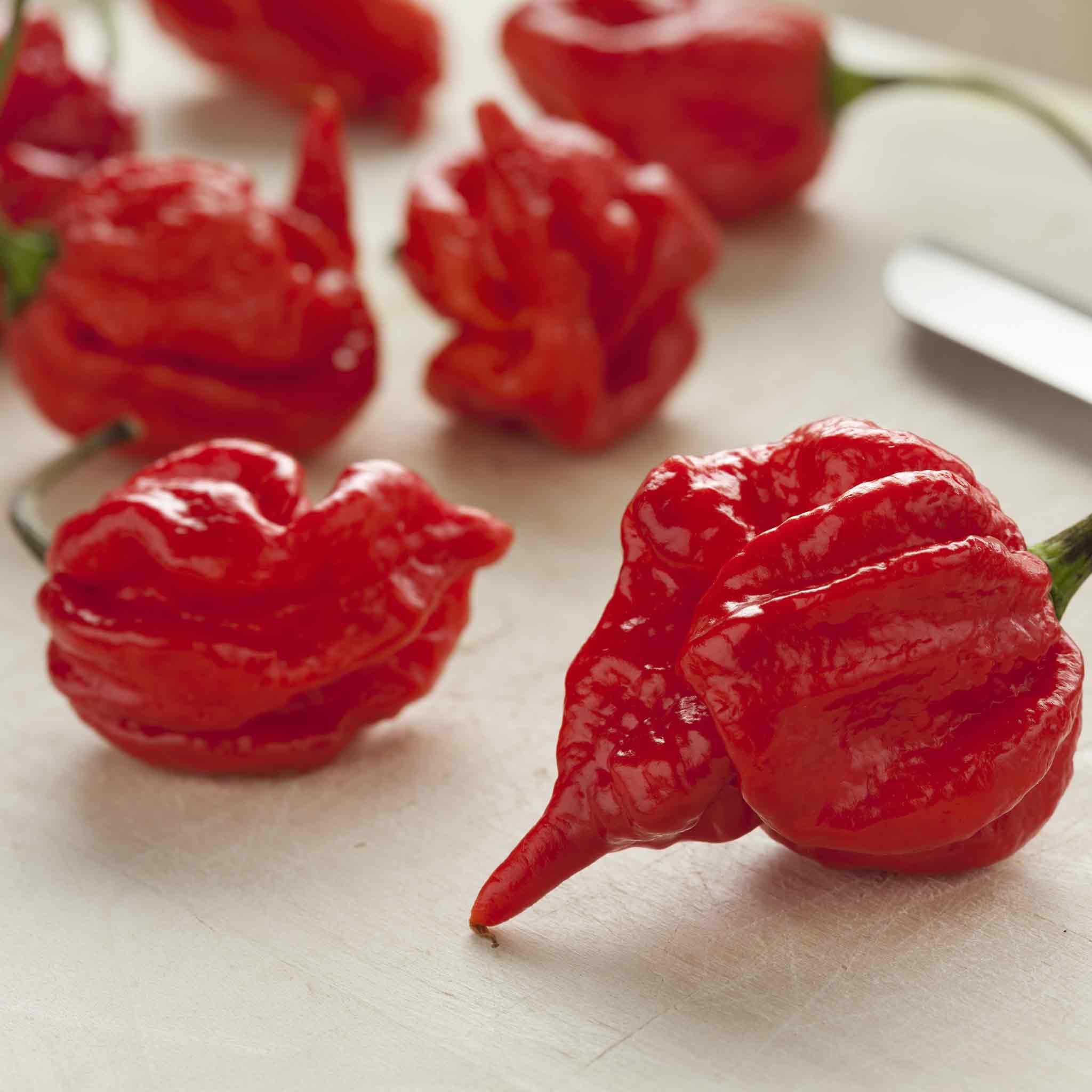 Hot Pepper Seeds - Trinidad Scorpion