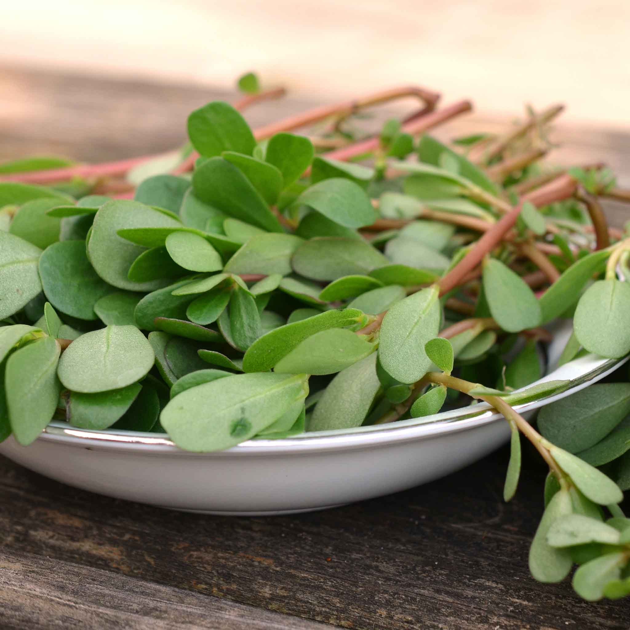 Purslane Seeds - Green