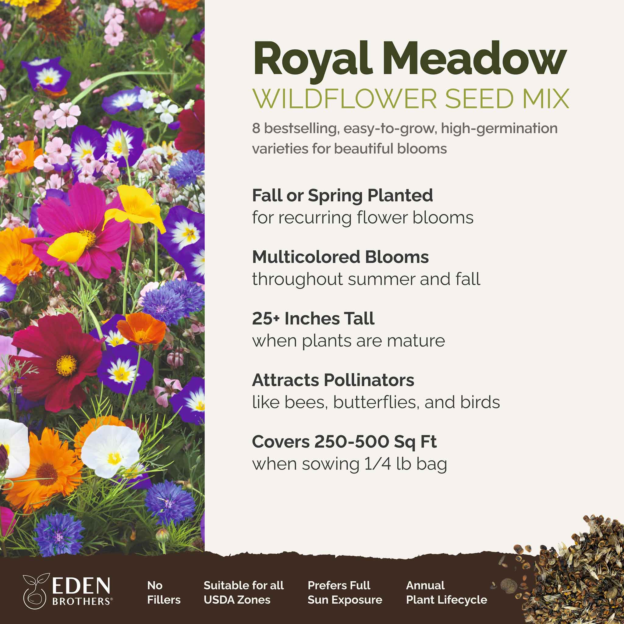 Royal Meadow Flower Seed Mix