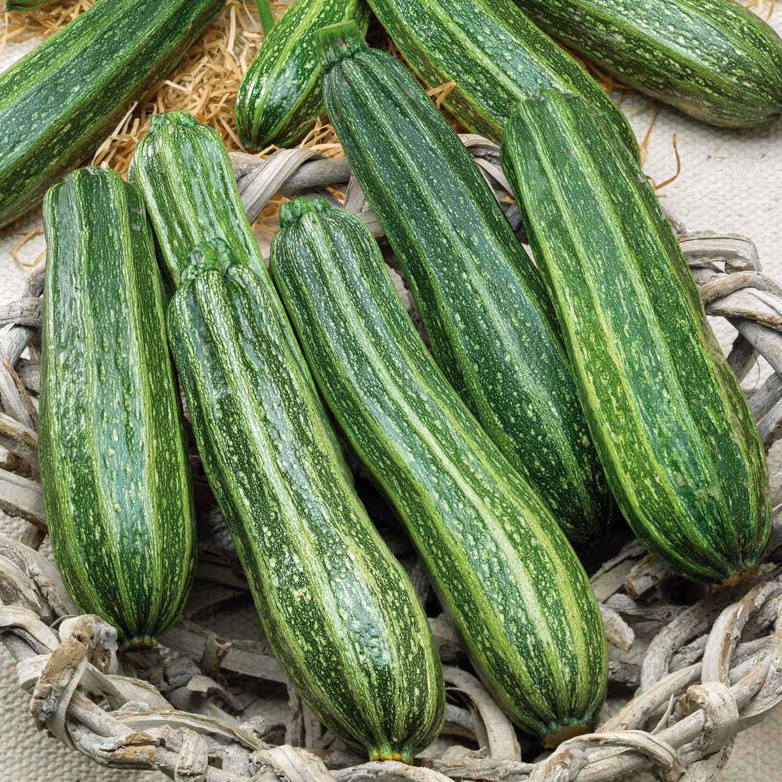 Summer Squash Seeds - Cocozelle