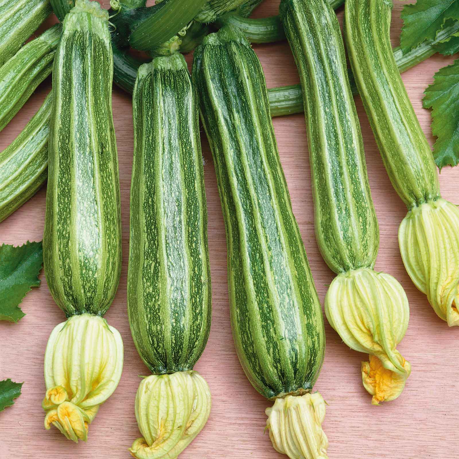 Summer Squash Seeds - Romanesco