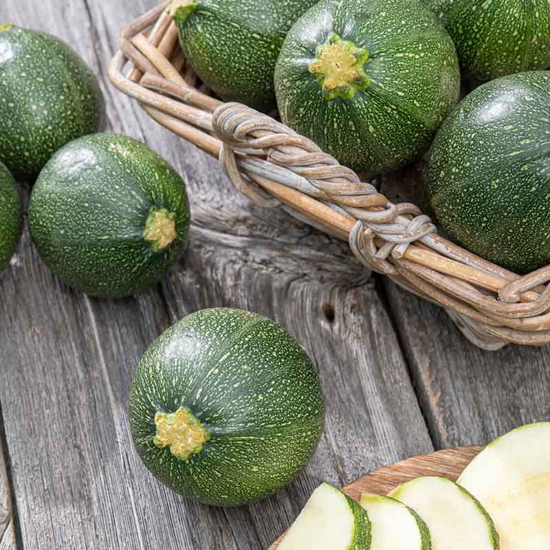 Summer Squash Seeds - Round Zucchini