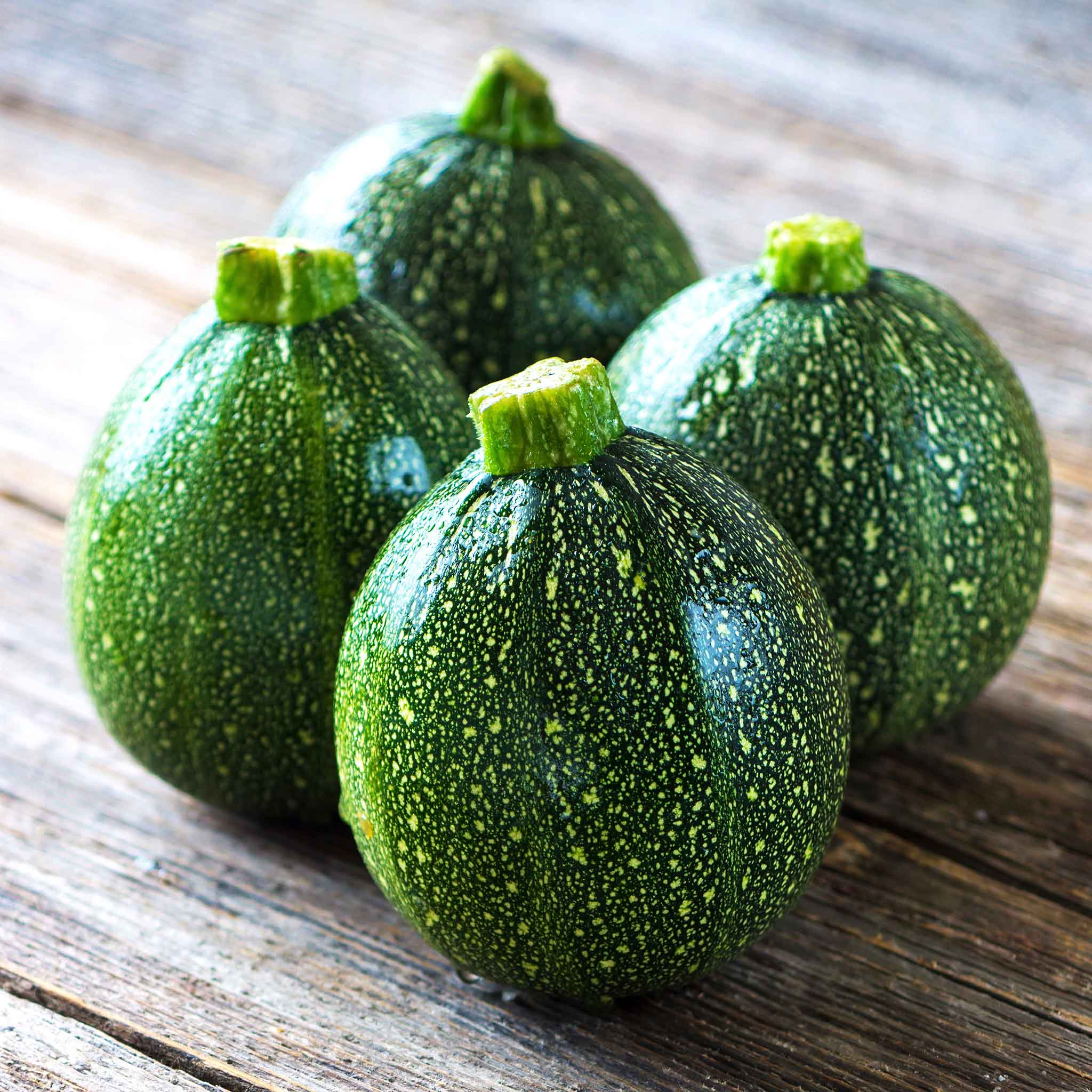 Summer Squash Seeds - Round Zucchini