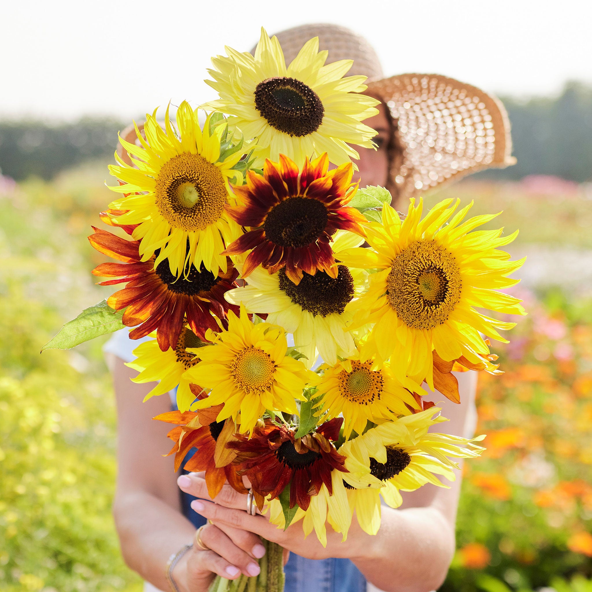 Sunflower Seeds - Formula Mix