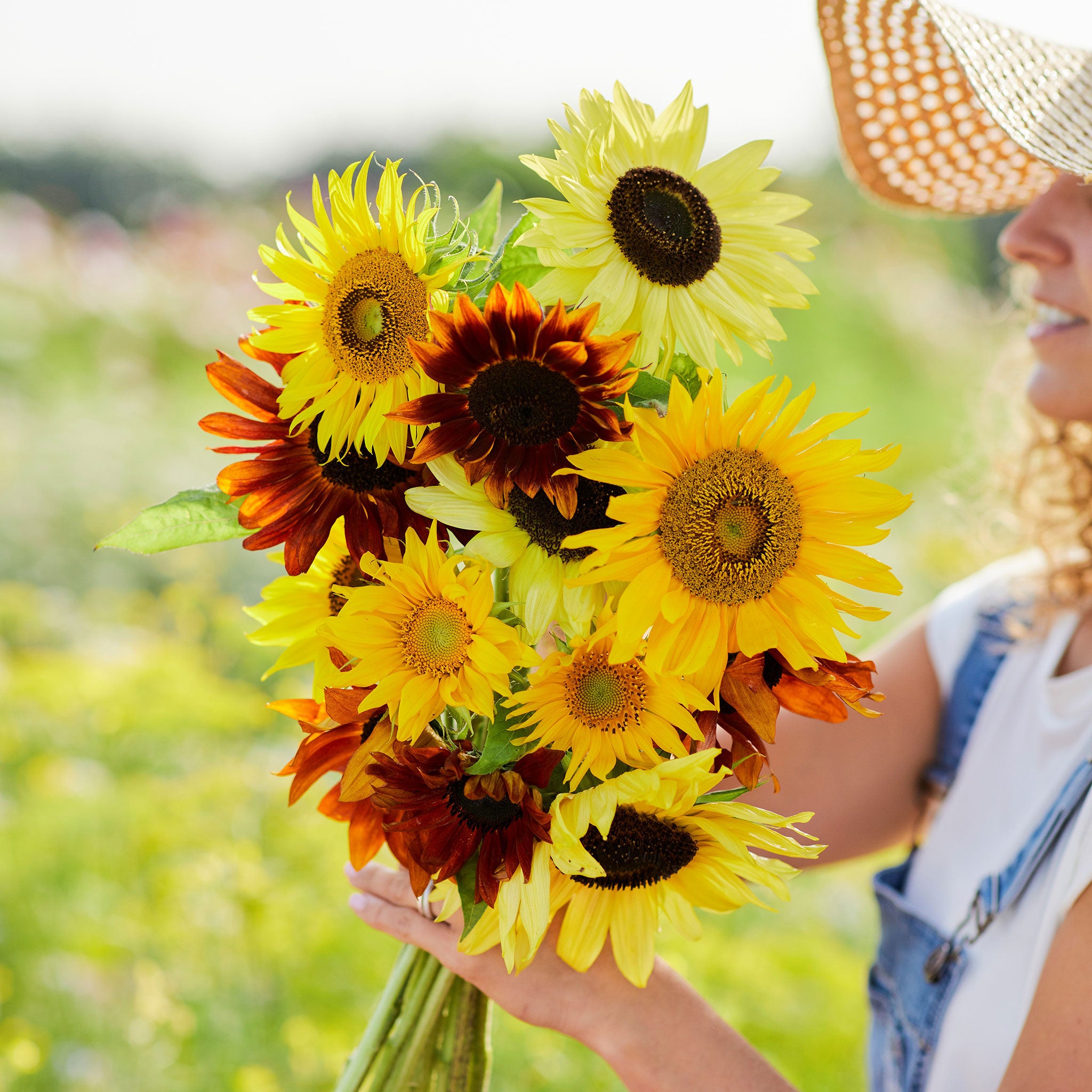 Sunflower Seeds - Formula Mix