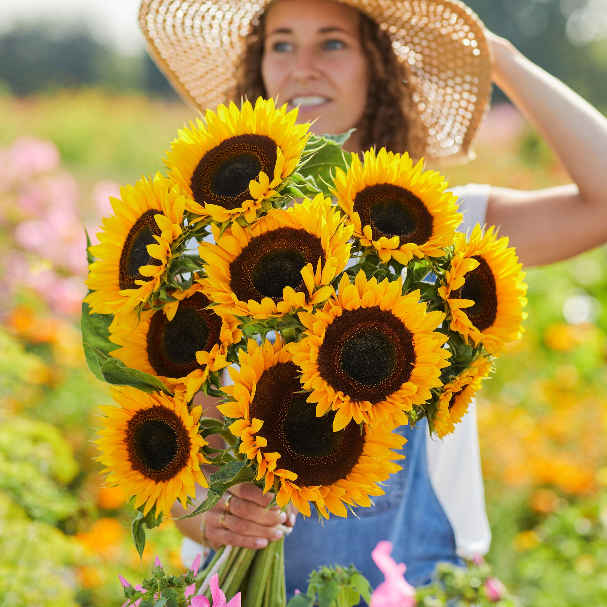 Sunflower Seeds - Taiyo