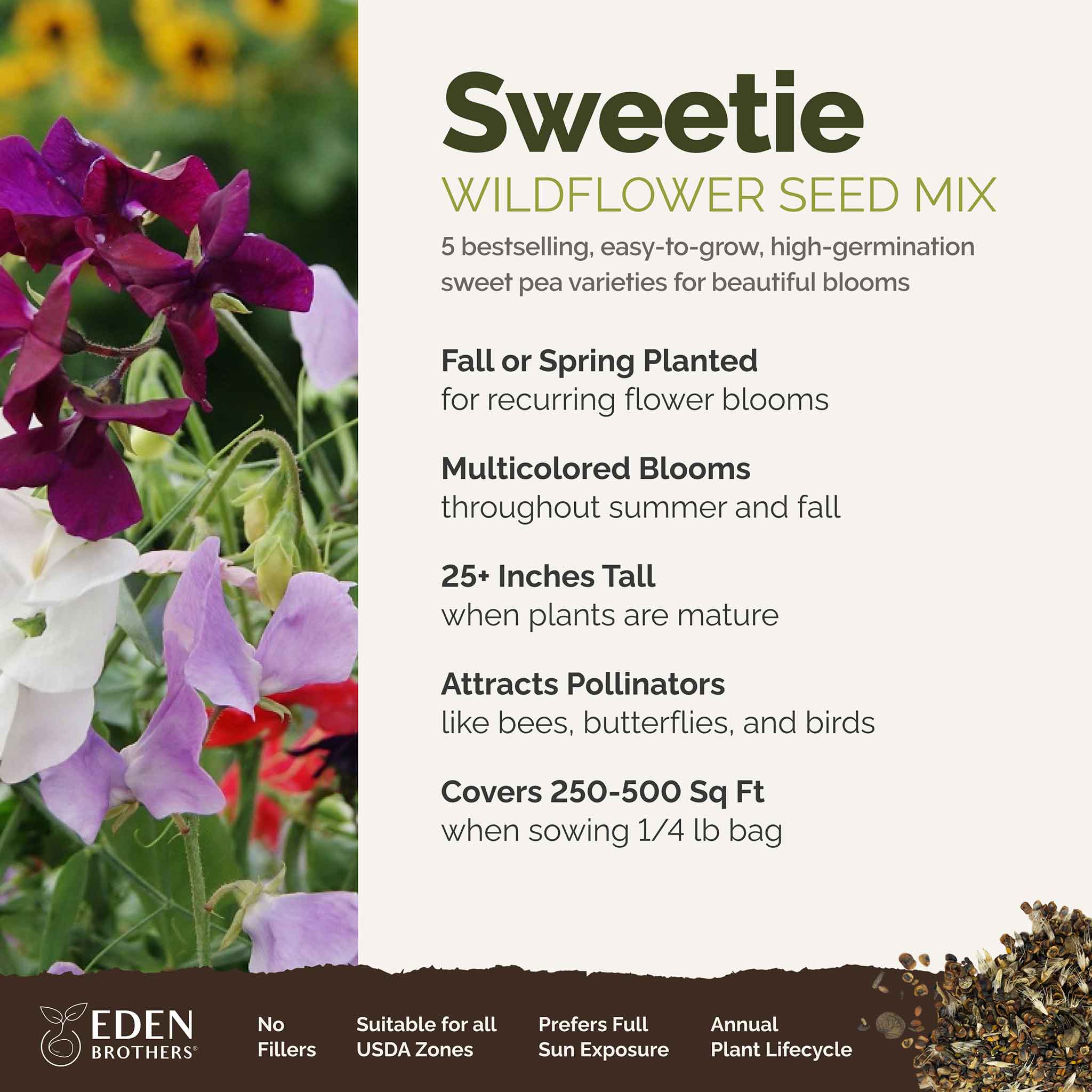 Sweetie - Sweet Pea Flower Seed Mix