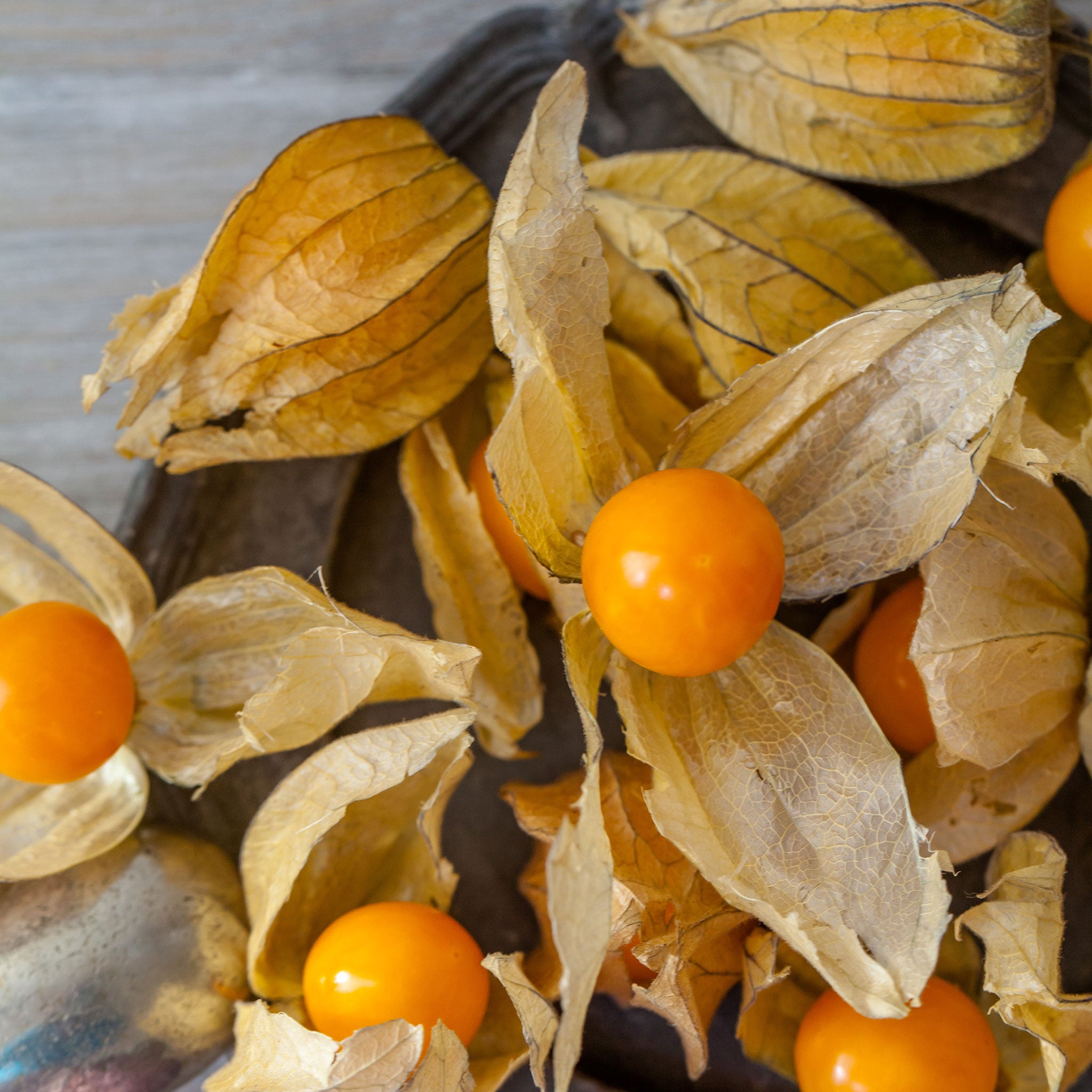 Tomatillo Seeds - Ground Cherry