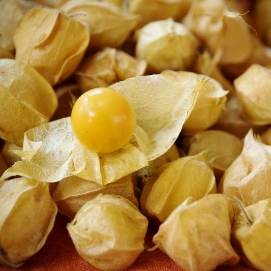 Tomatillo Seeds - Pineapple