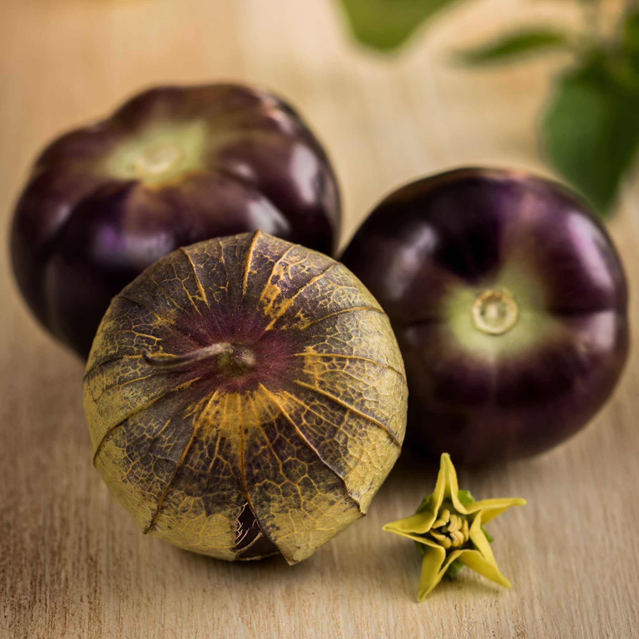 Tomatillo Seeds - Purple