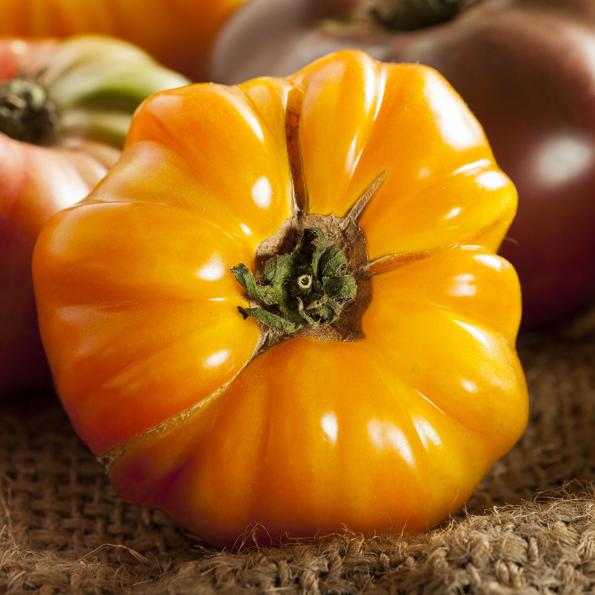 Tomato Seeds - Amana Orange