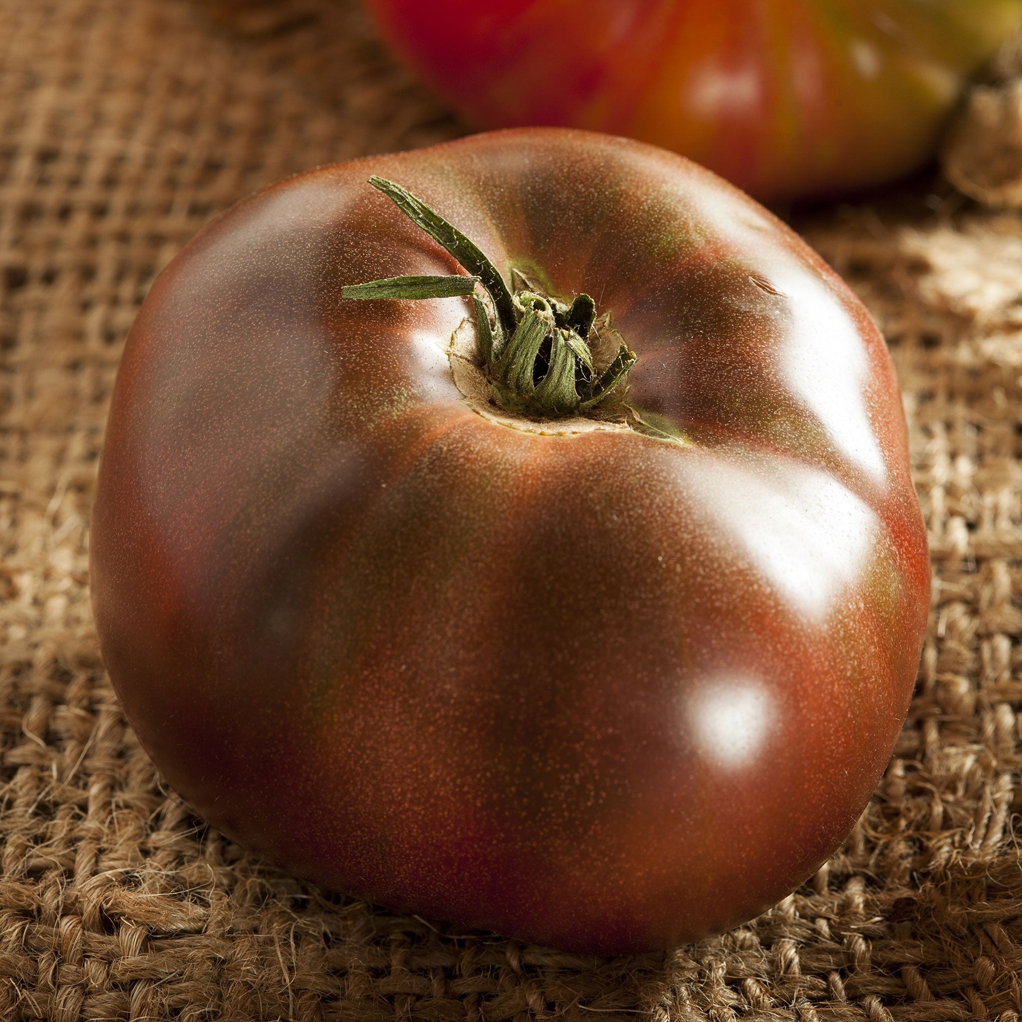 Tomato Seeds - Black Brandywine