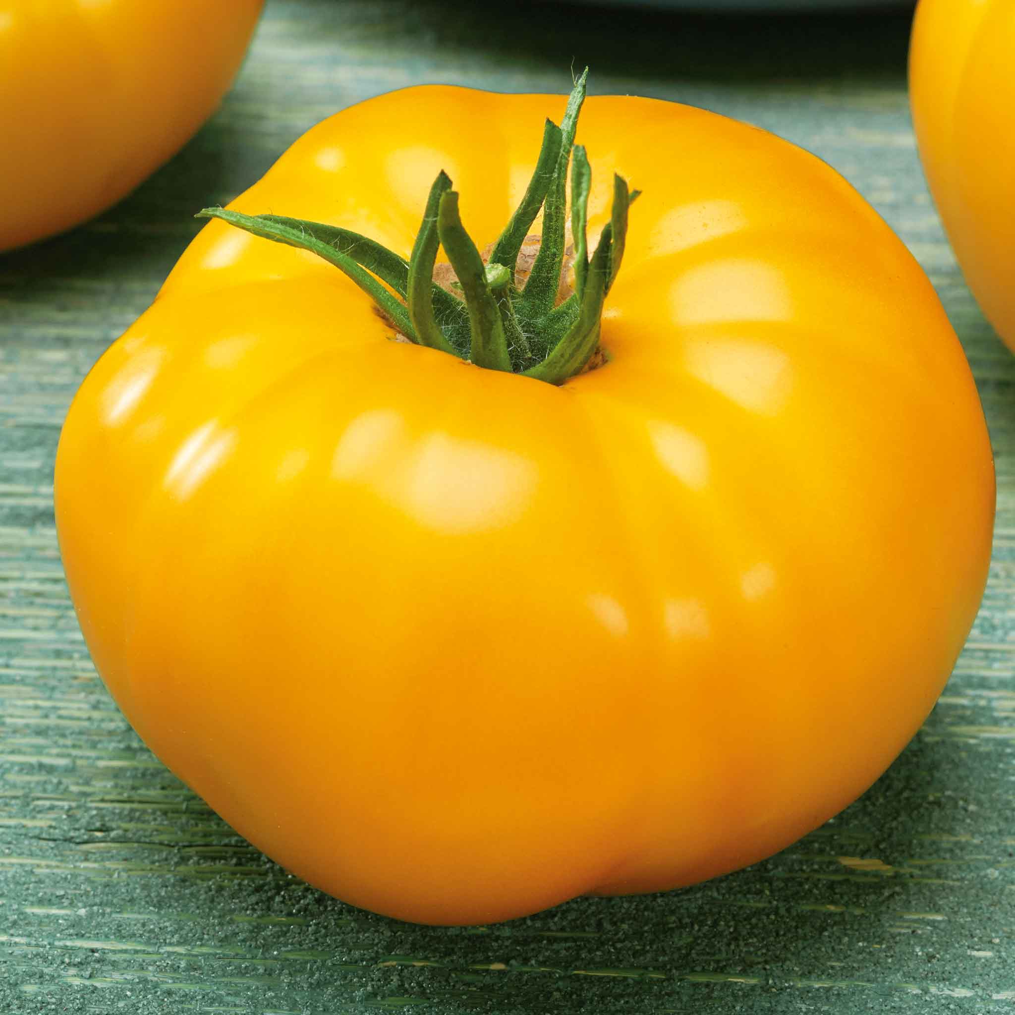 Tomato Seeds - Brandywine Yellow