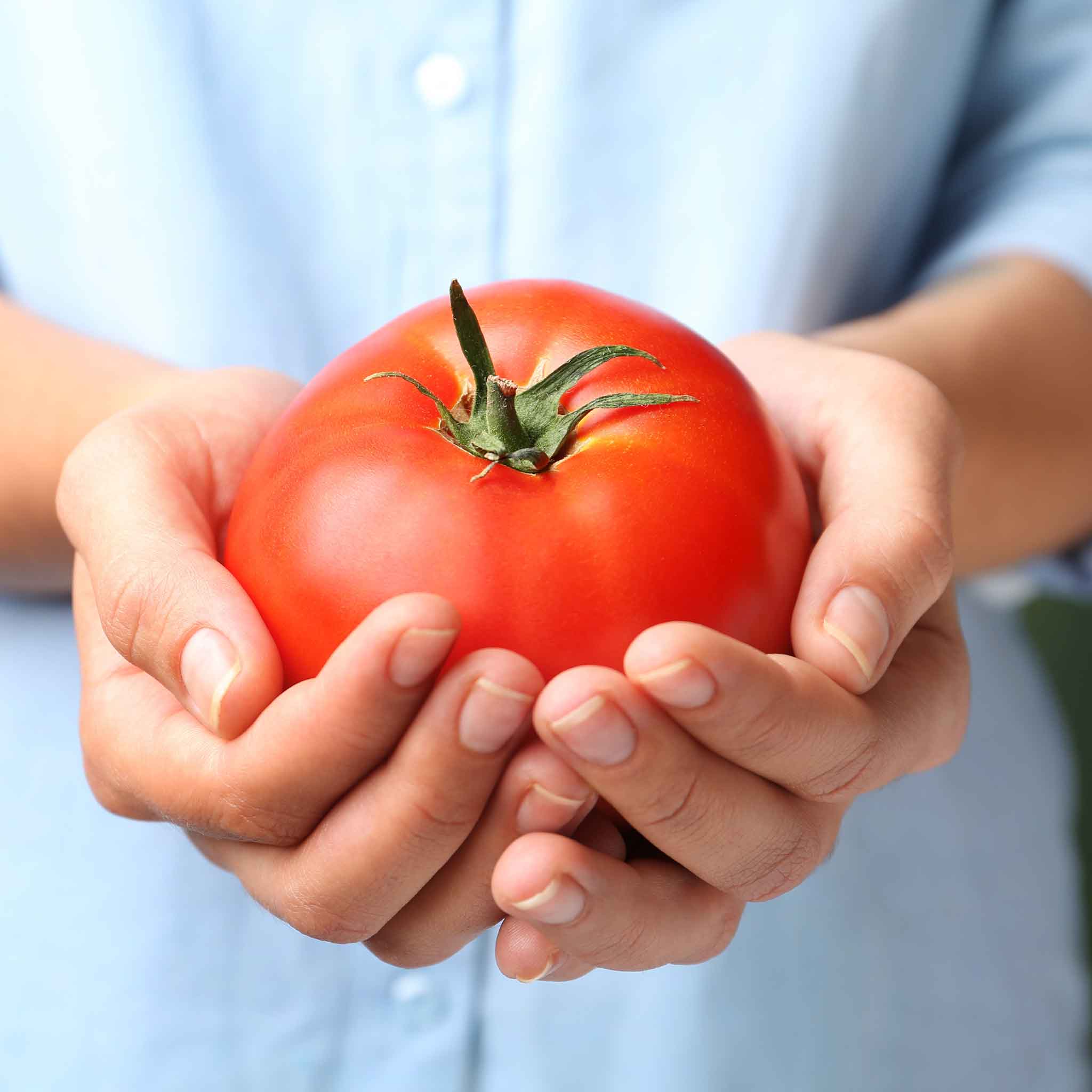 Tomato Seeds - Burpee's Big Boy