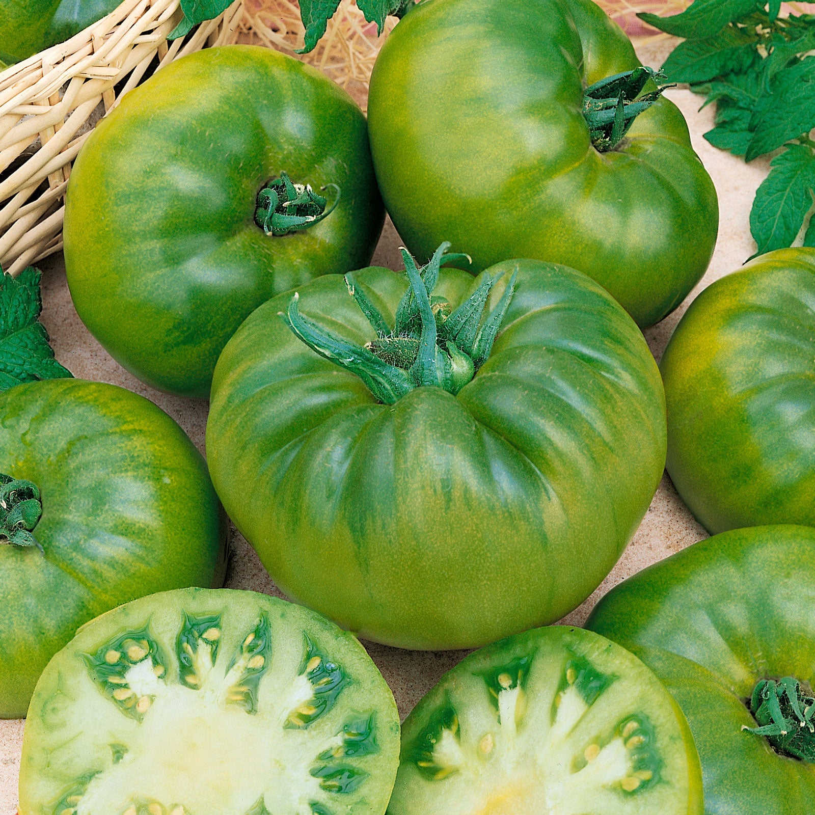 Tomato Seeds - Cherokee Green