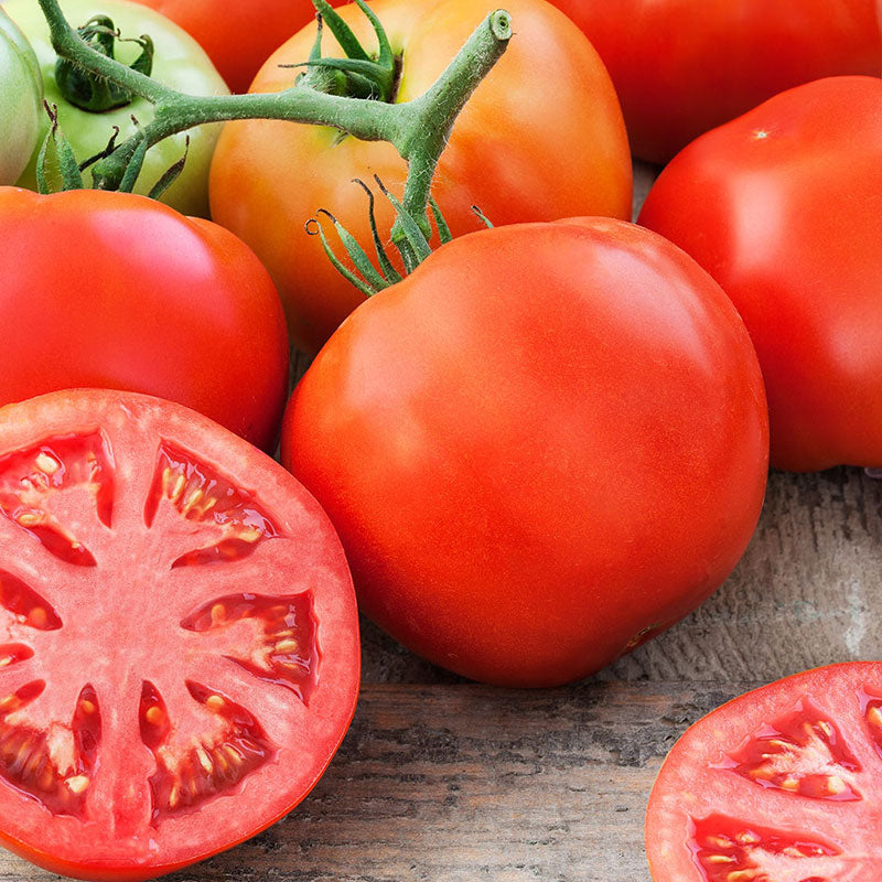 Tomato Seeds - Delicious