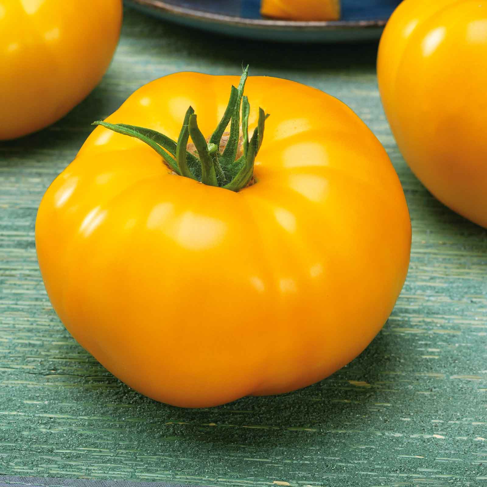 Tomato Seeds - Lemon Boy VF