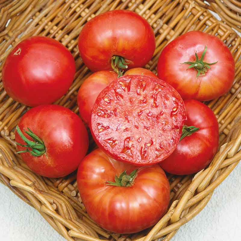 Tomato Seeds - Mortgage Lifter