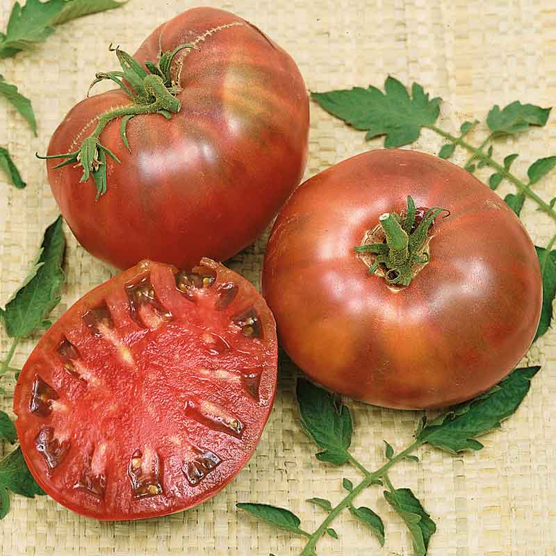 Organic Tomato Seeds - Cherokee Purple