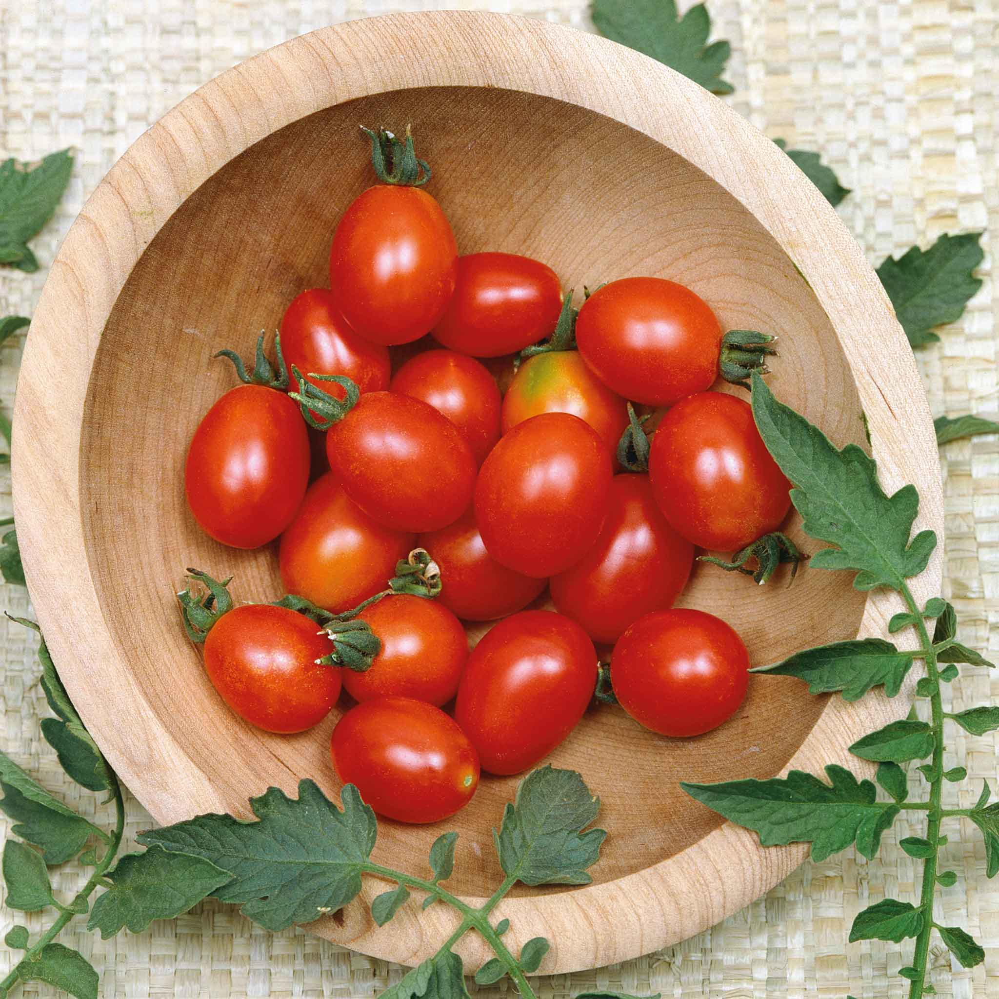 Tomato Seeds - Principe Borghese