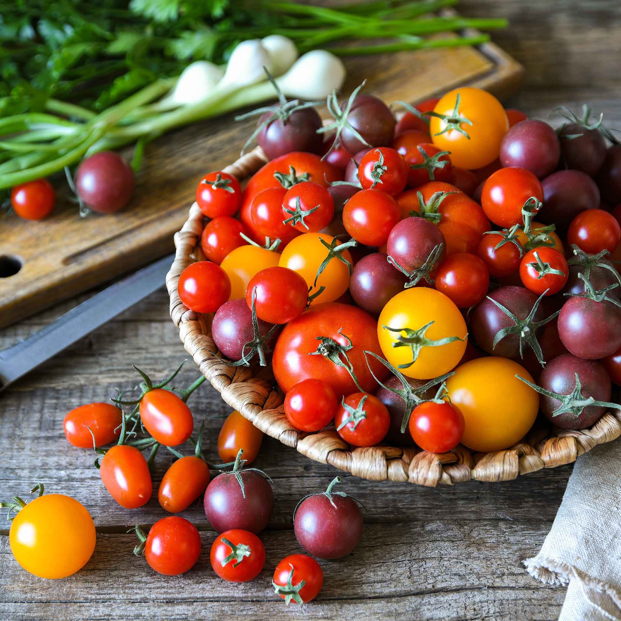 Tomato Seeds - Rainbow Cherry Mixture