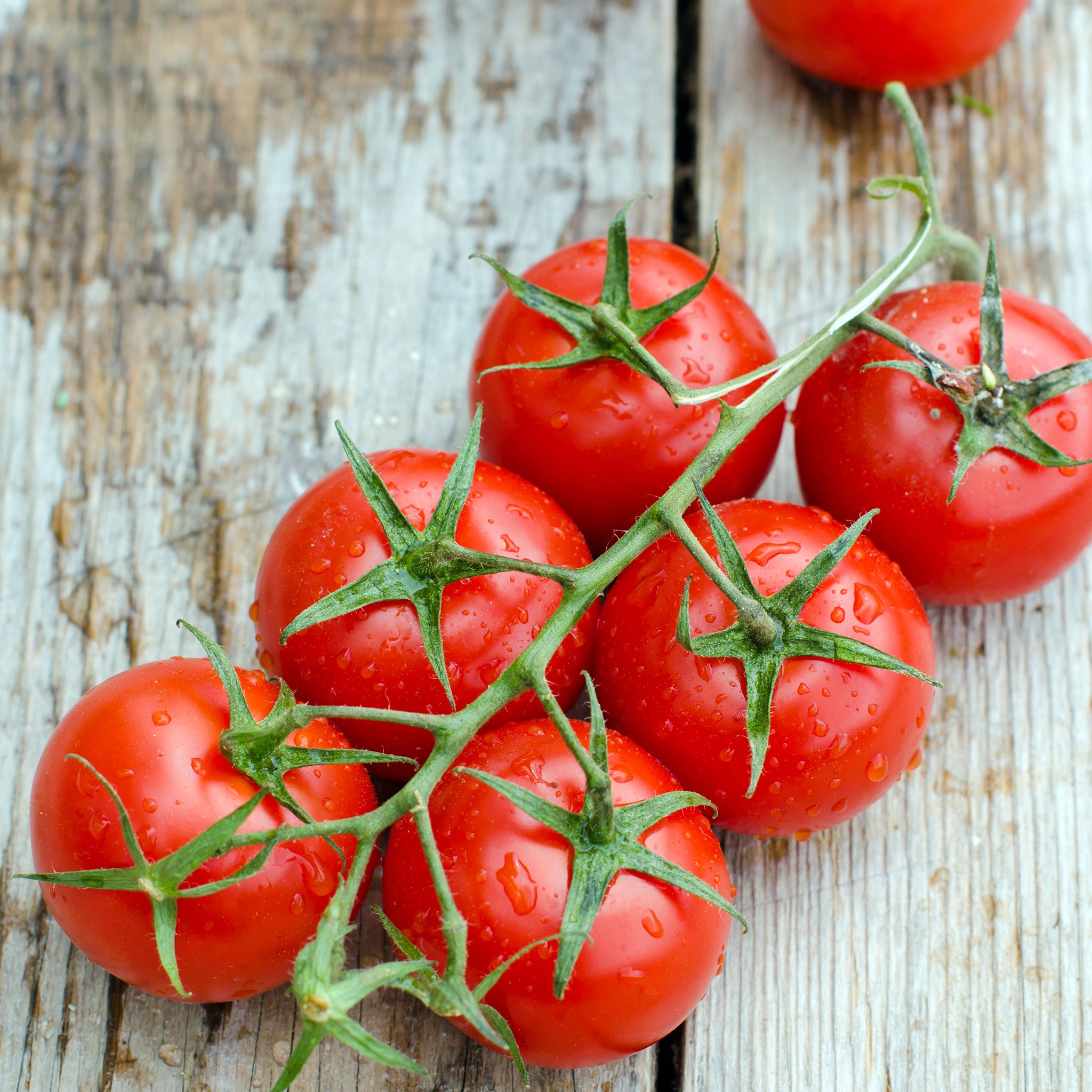 Tomato Seeds - Red Cherry - Large