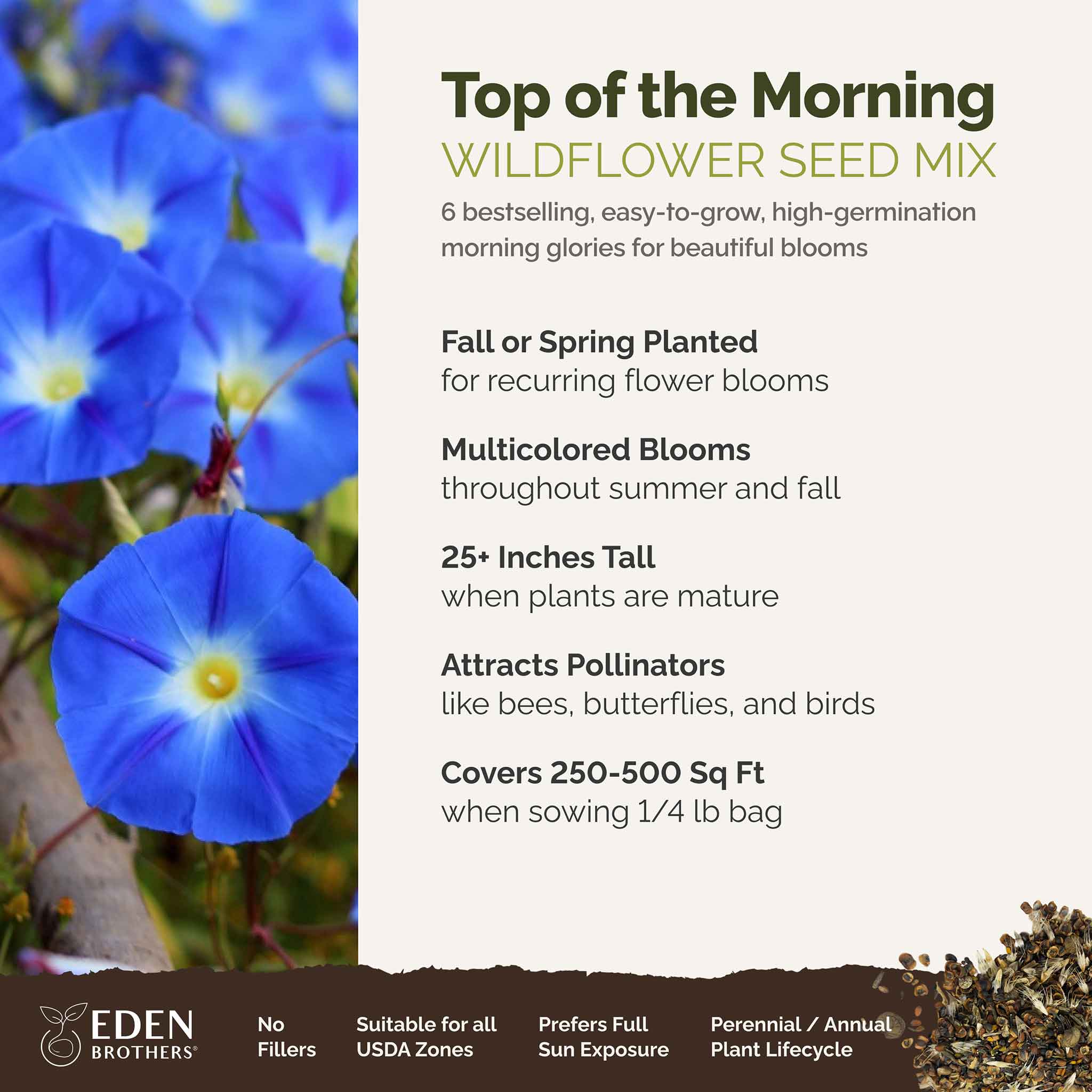 Top O' The Morning - Morning Glory Flower Seed Mix